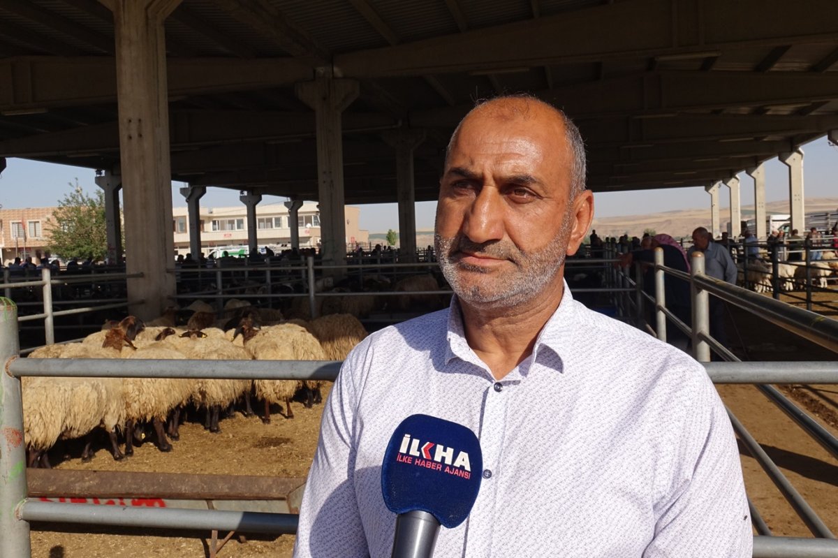 Kurban pazarlarında hareketlilik başladı: Fiyatlar uygun, seçenek bol
