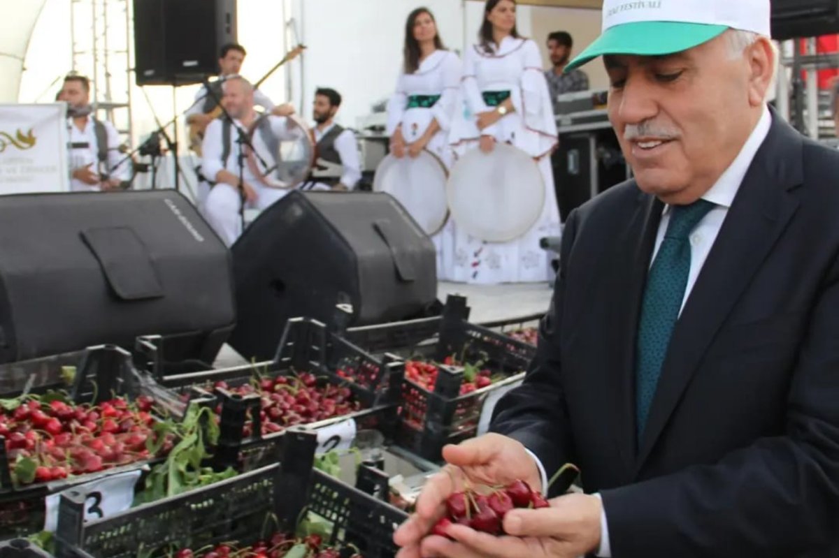 Mardin’de “kiraz” gölgesinde ifsat edici festivale tepki