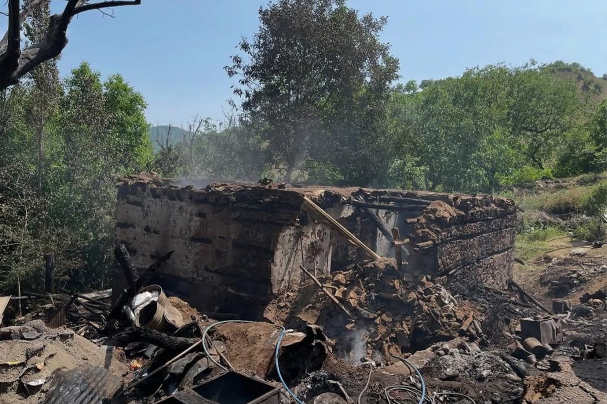 Bingöl'de orman yangını