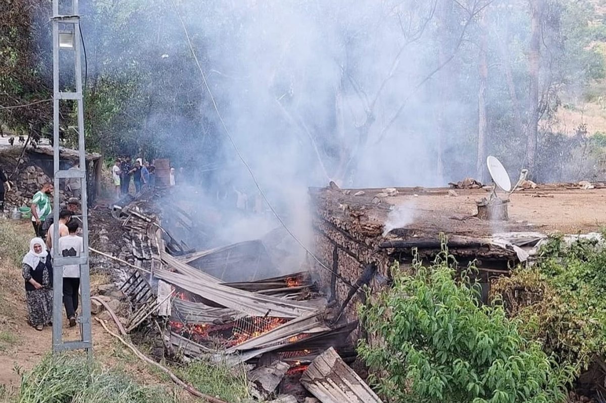 Bingöl'de orman yangını