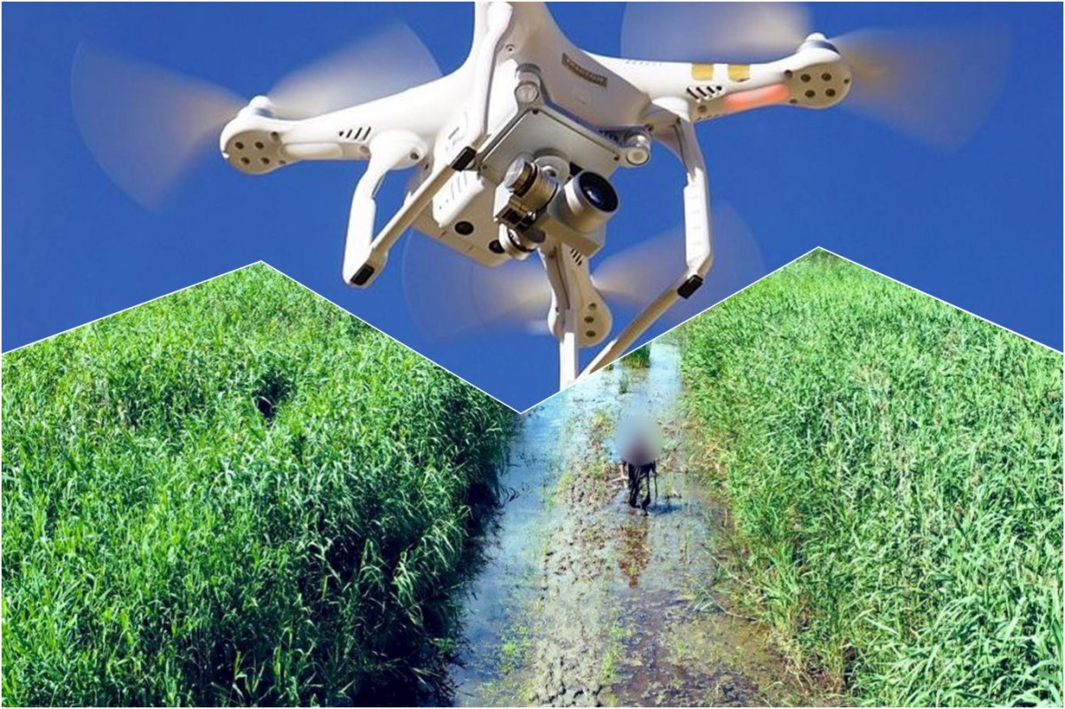 Bursa'da kaybolan kişi dronla bulundu