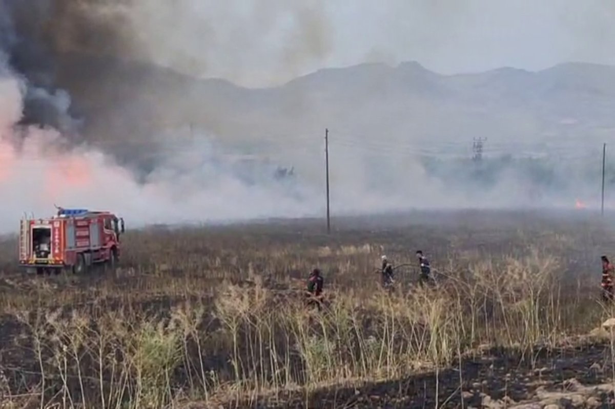Malatya'da 41 noktada yangın çıktı