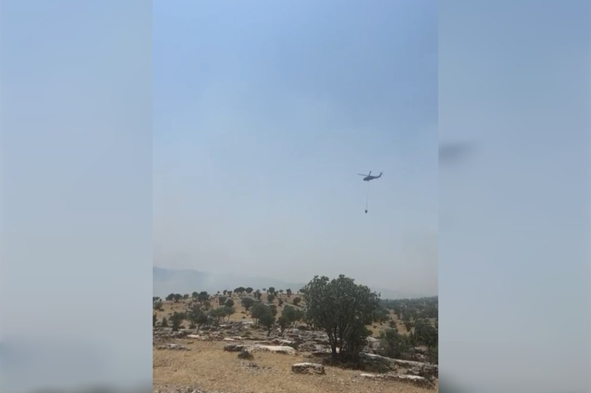 Mardin’de orman yangını: Helikopterlerle müdahale ediliyor