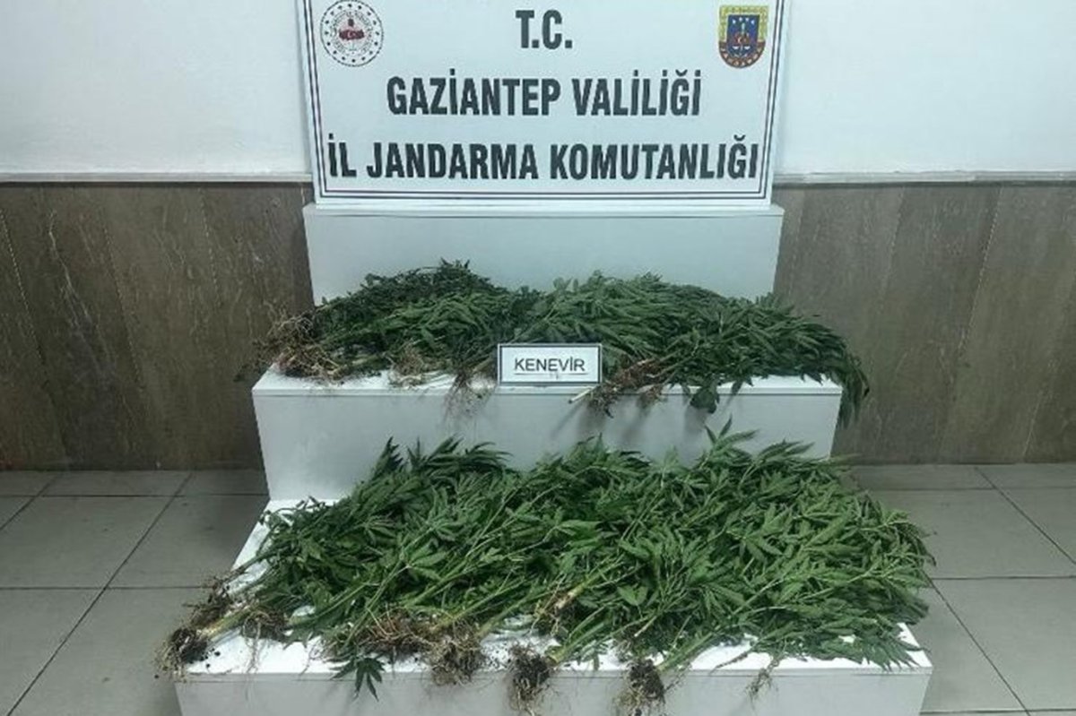 Gaziantep'te uyuşturucu operasyonu: 14 gözaltı