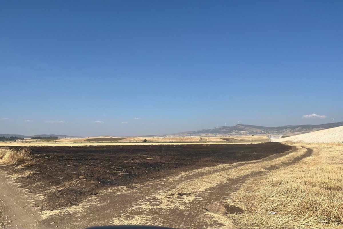 Anız yakan şahsa idari para cezası kesildi