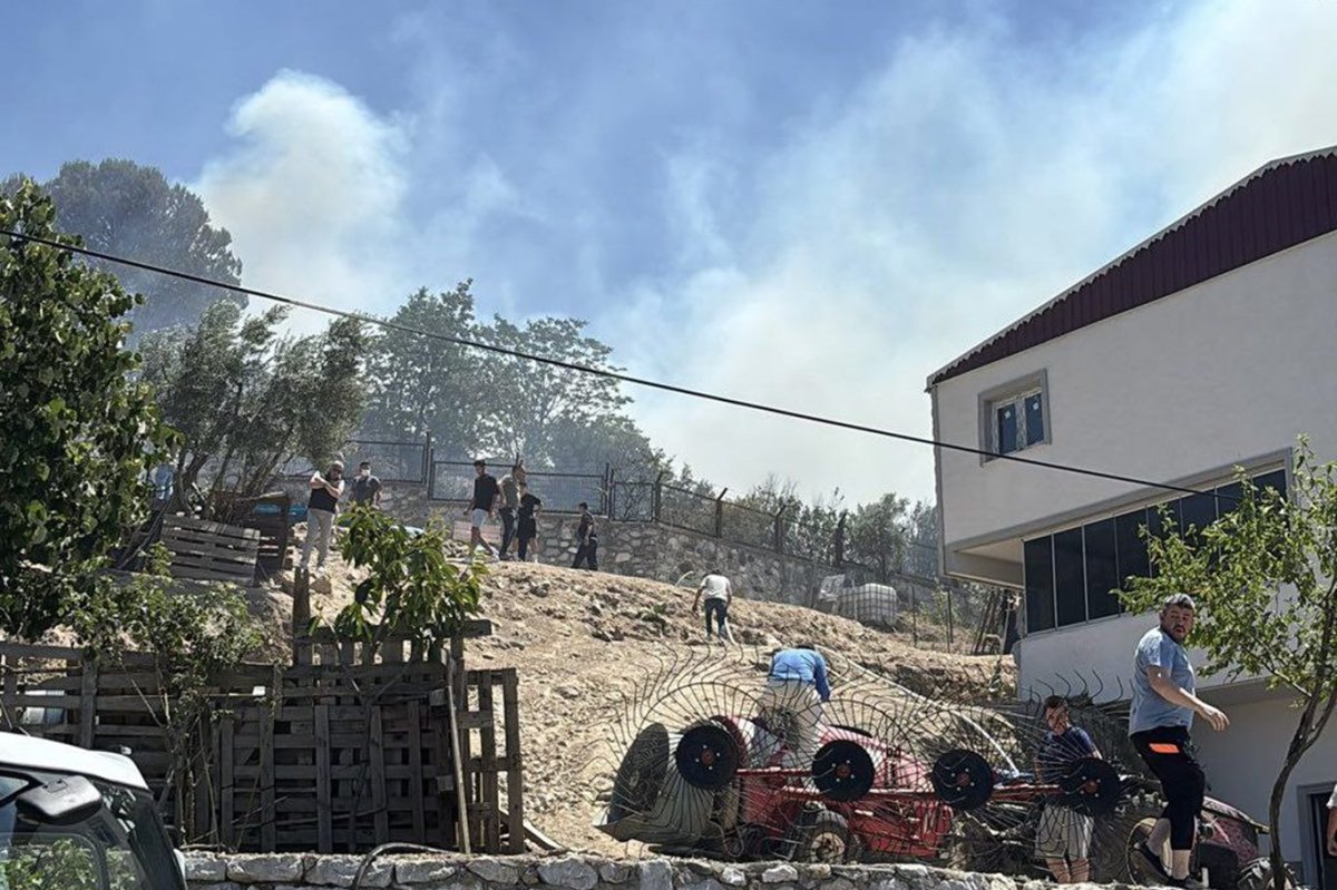 Bursa'daki orman yangını kontrol altına alındı