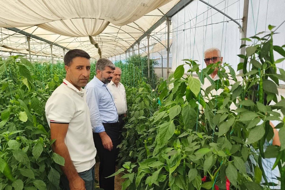 HÜDA PAR Milletvekili Dinç, çiftçilerin sorunlarını dinledi