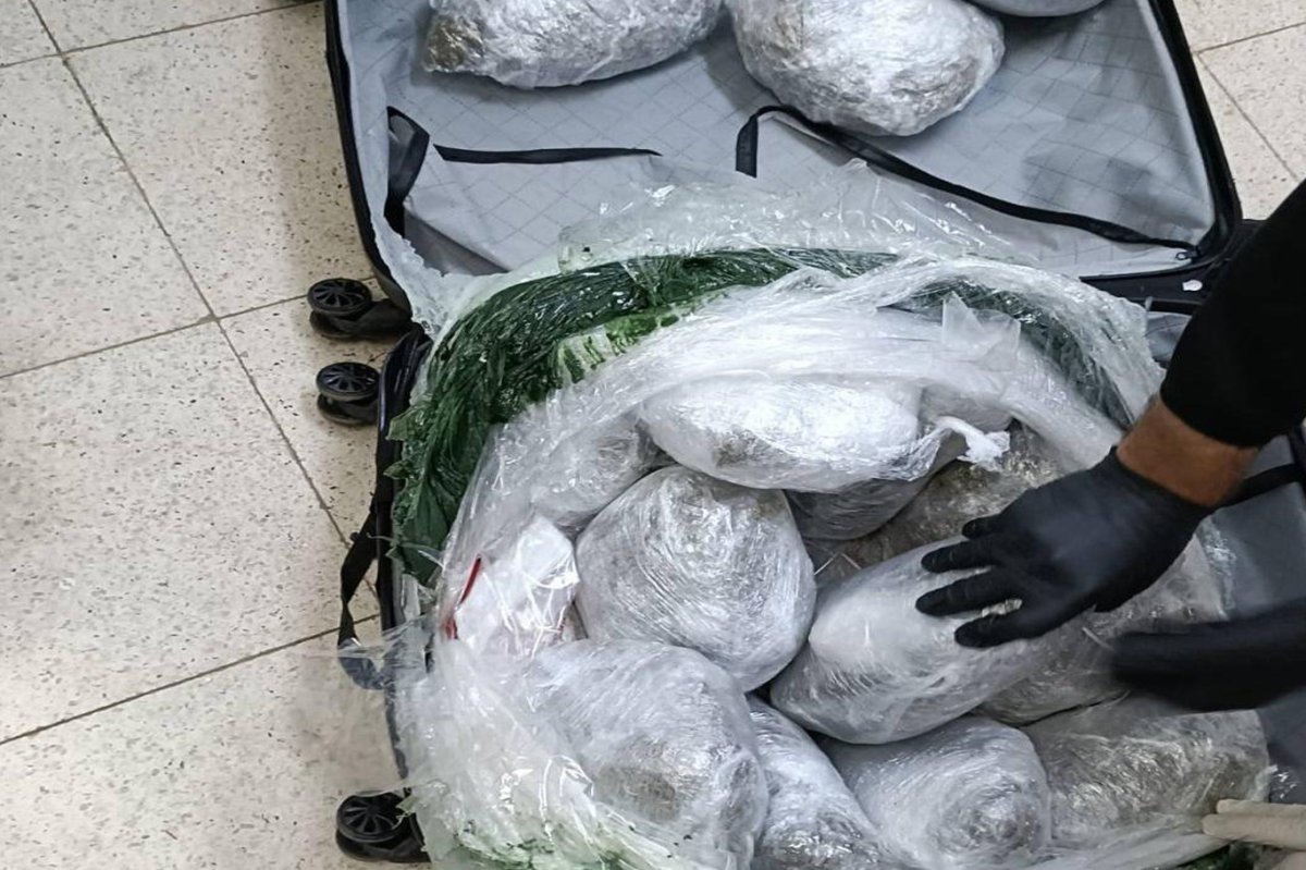 Bingöl'de 49 kilo 600 gram kubar esrar ele geçirildi