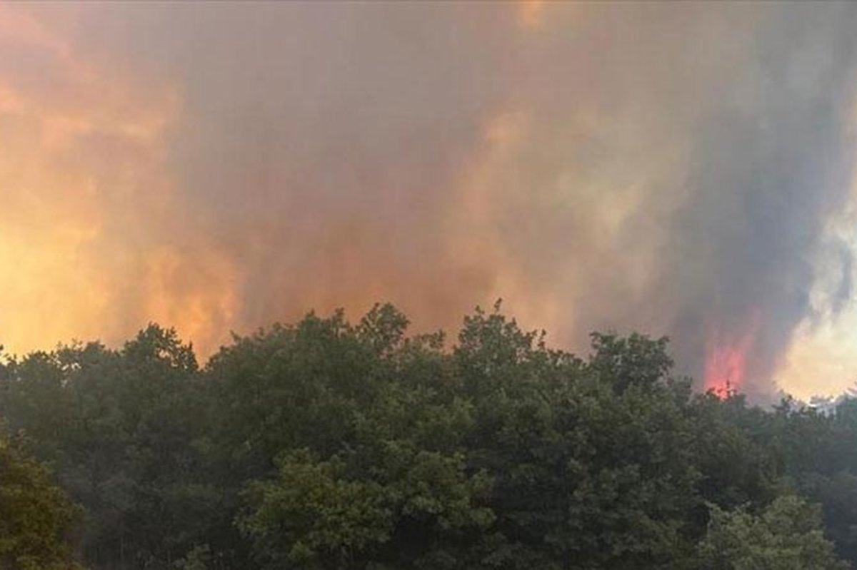 Bursa'da orman yangını