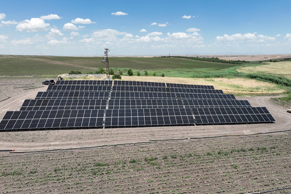 Enerji faturaları çiftçinin belini büktü: Güneş panelleri çözüm olabilir mi?