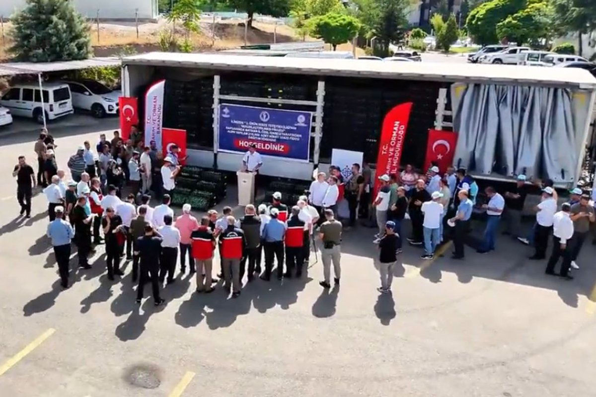 Batman'da sebzeye 40 milyon TL'lik kış desteği
