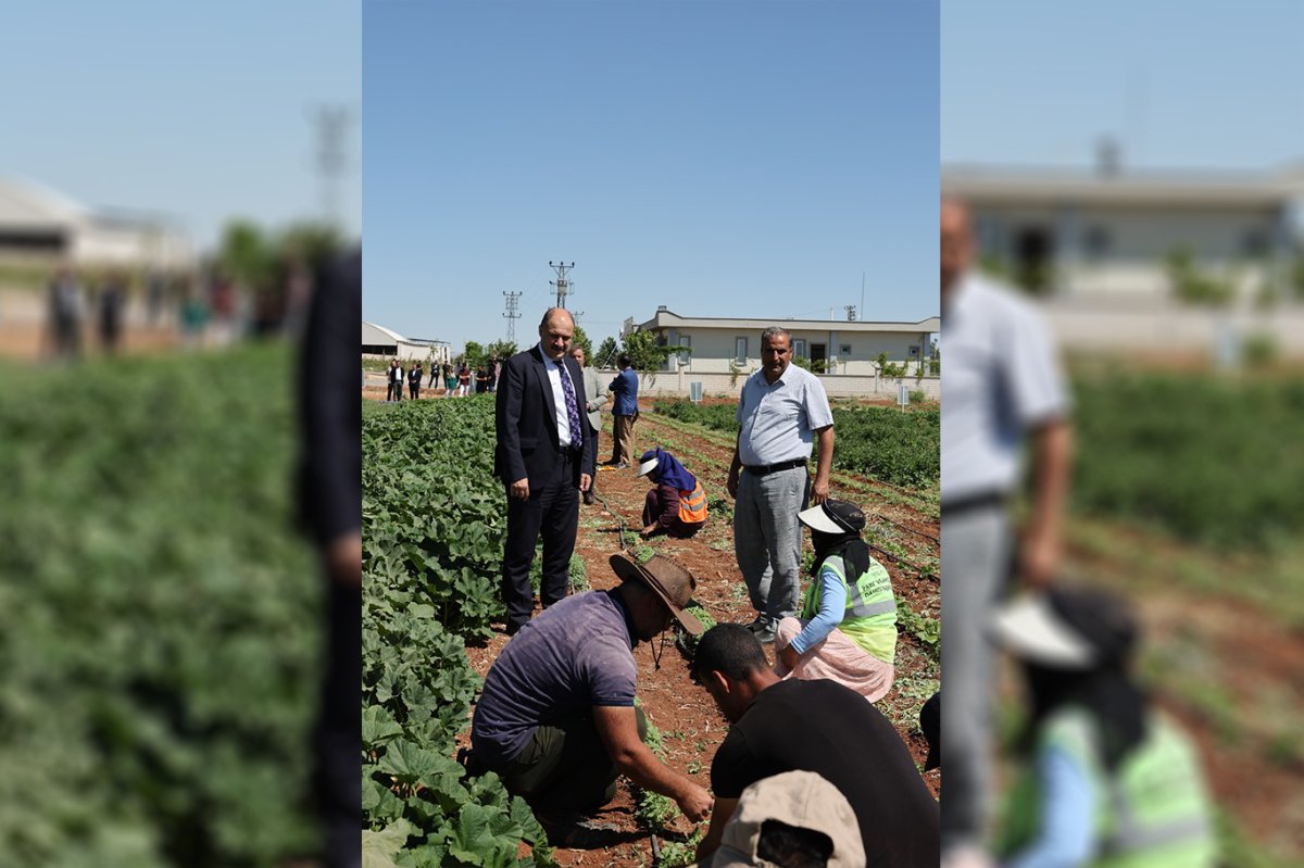 Şanlıurfa’da ata tohumları toprakla buluşuyor