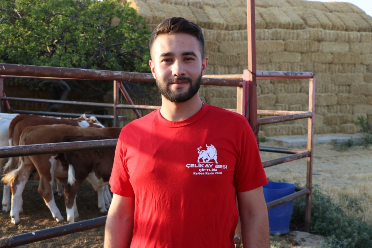 Şap hastalığı yayılıyor: Çiftçi zorda