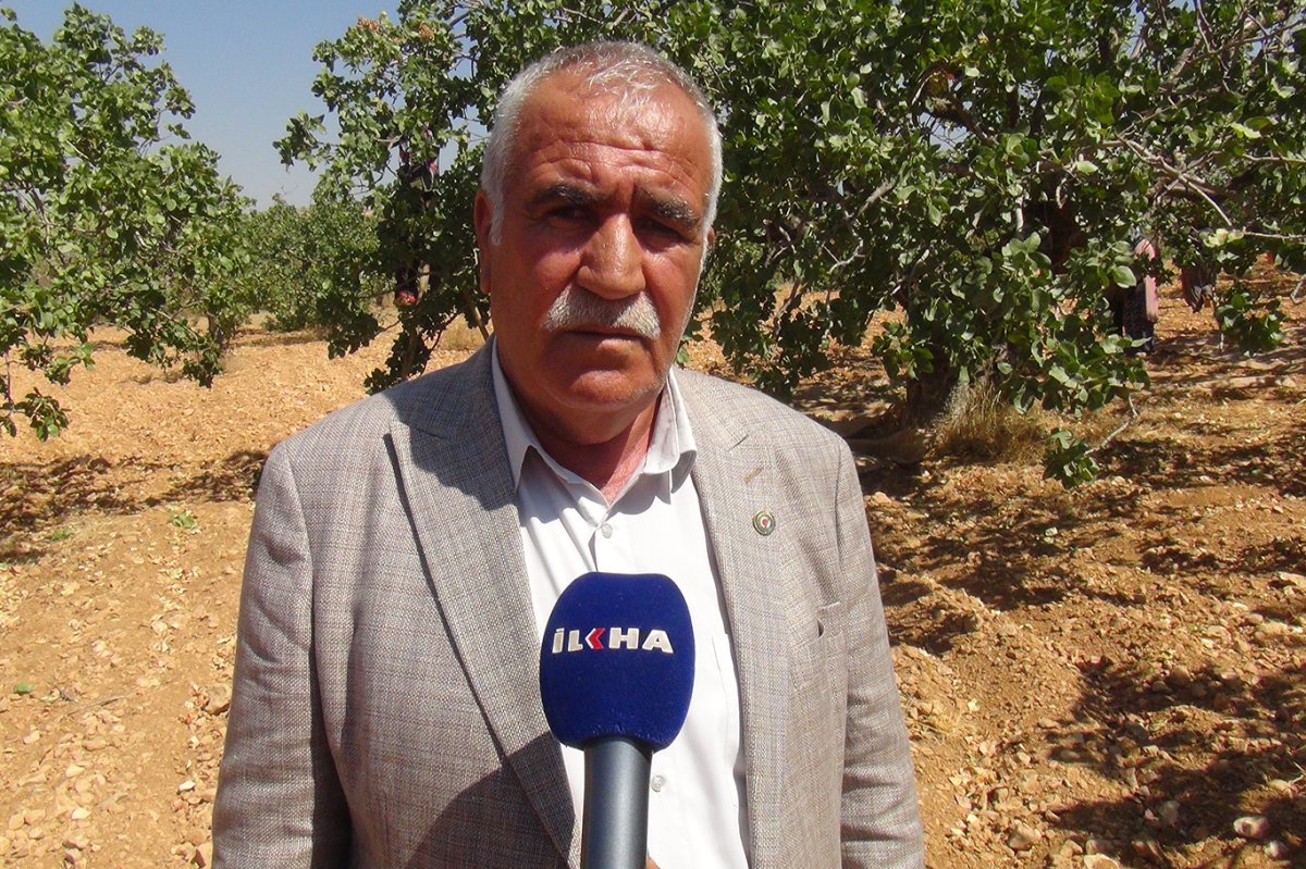 Şehitkamil Ziraat Odası Başkanı Yiğit: Bu yıl kuraklıkla birlikte zirai don çiftçiyi çok zor durumda bıraktı