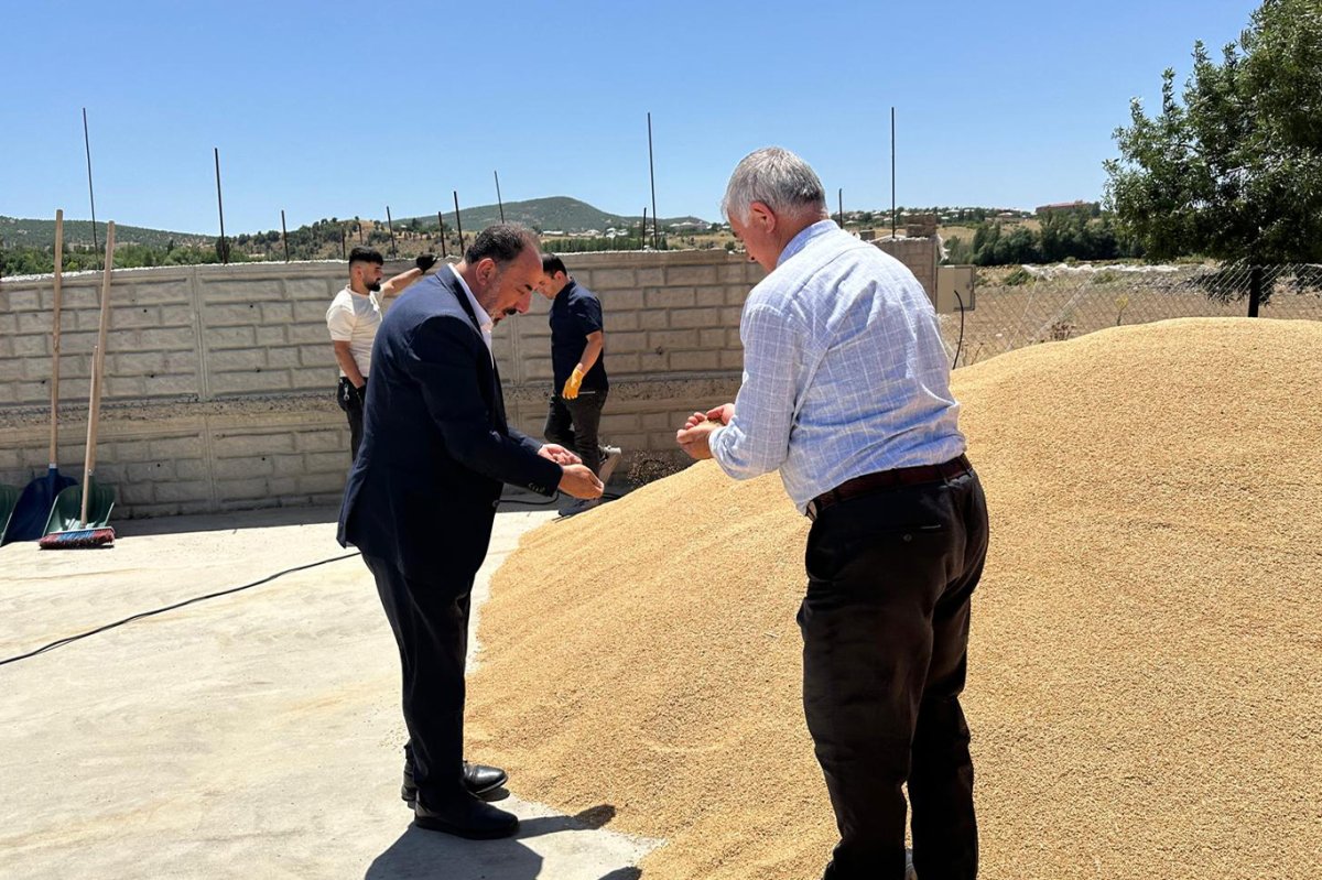 Bingöl’de 2 bin 750 ton buğday hasat edildi
