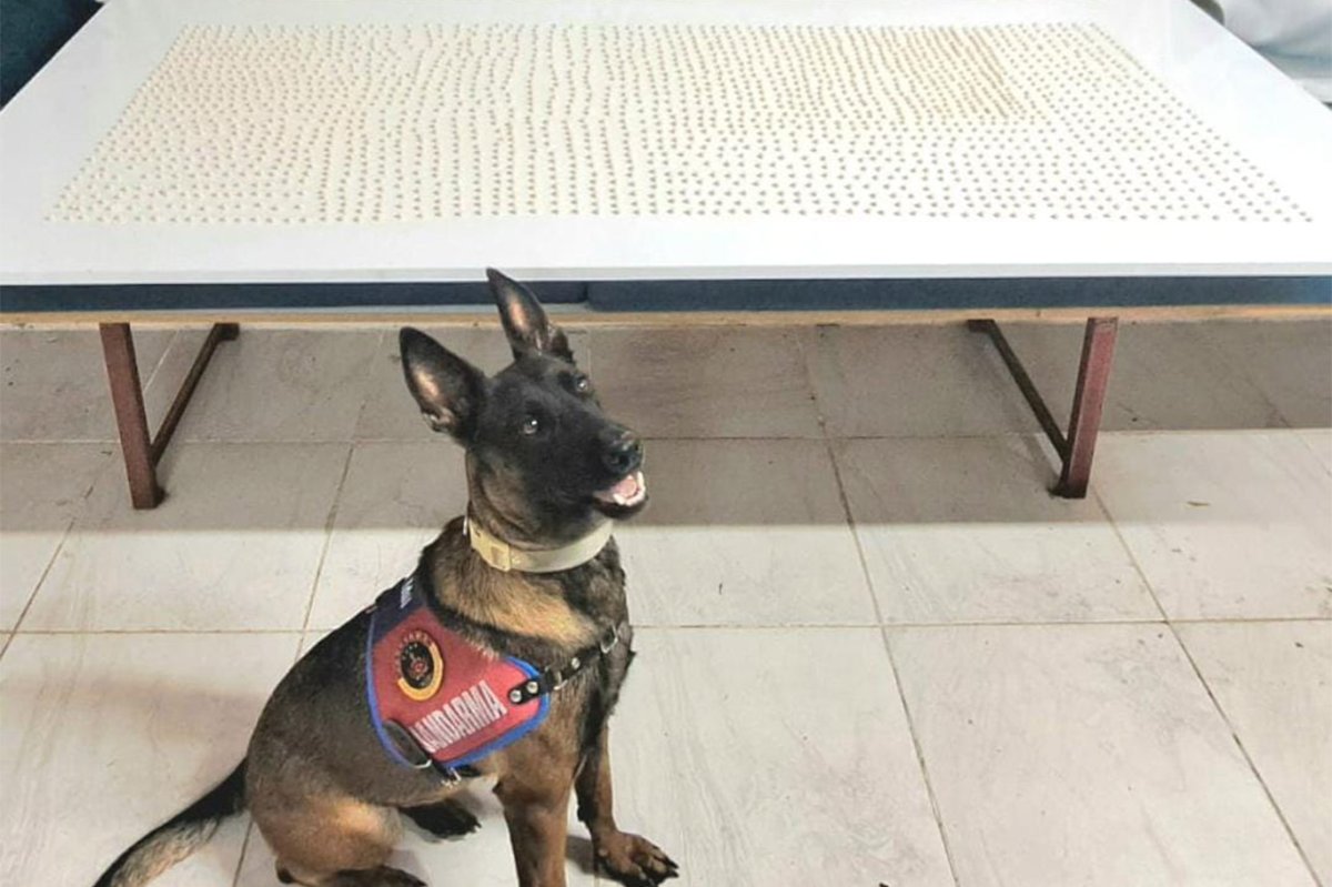 Şanlıurfa’da uyuşturucu operasyonu: 2 gözaltı