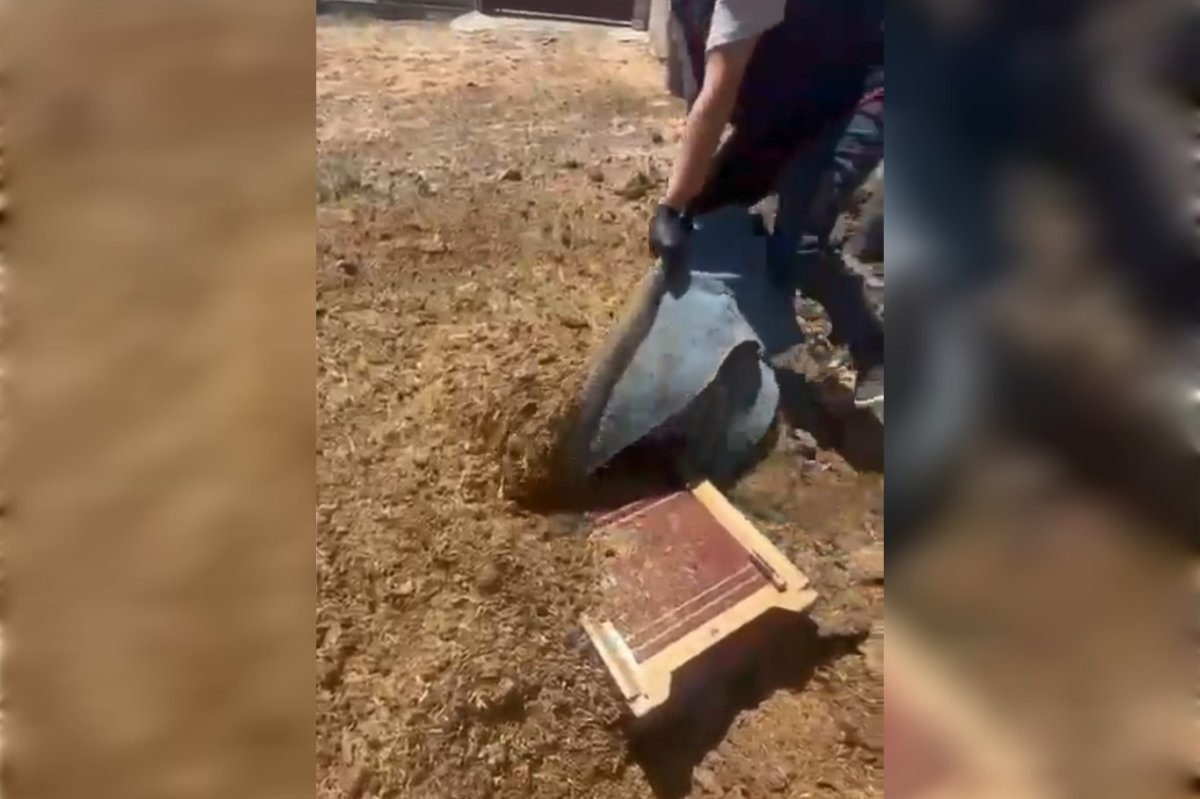 Mardin’de 3 milyon değerinde çalınan ziynet eşyaları gömülü şekilde bulundu