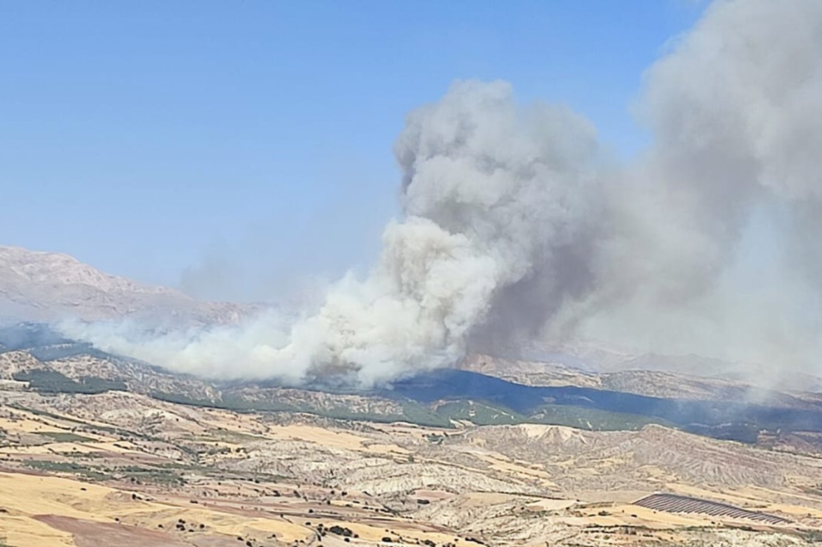 Adıyaman'da ormanlık alanda çıkan yangın devam ediyor