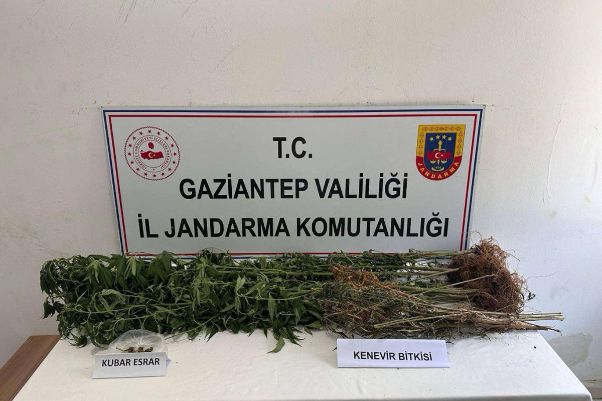 Gaziantep'te uyuşturucu operasyonu: 6 gözaltı