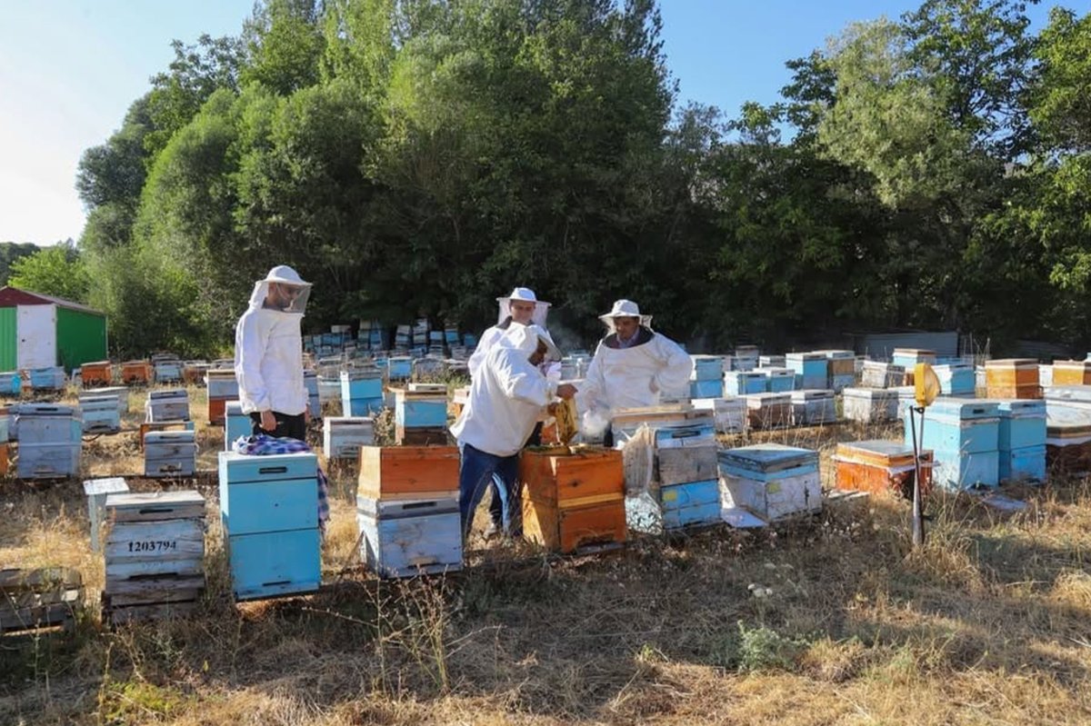 Bingöl İl Tarım ve Orman Müdürü Aktay Kiğı’da arıcıları ziyaret etti