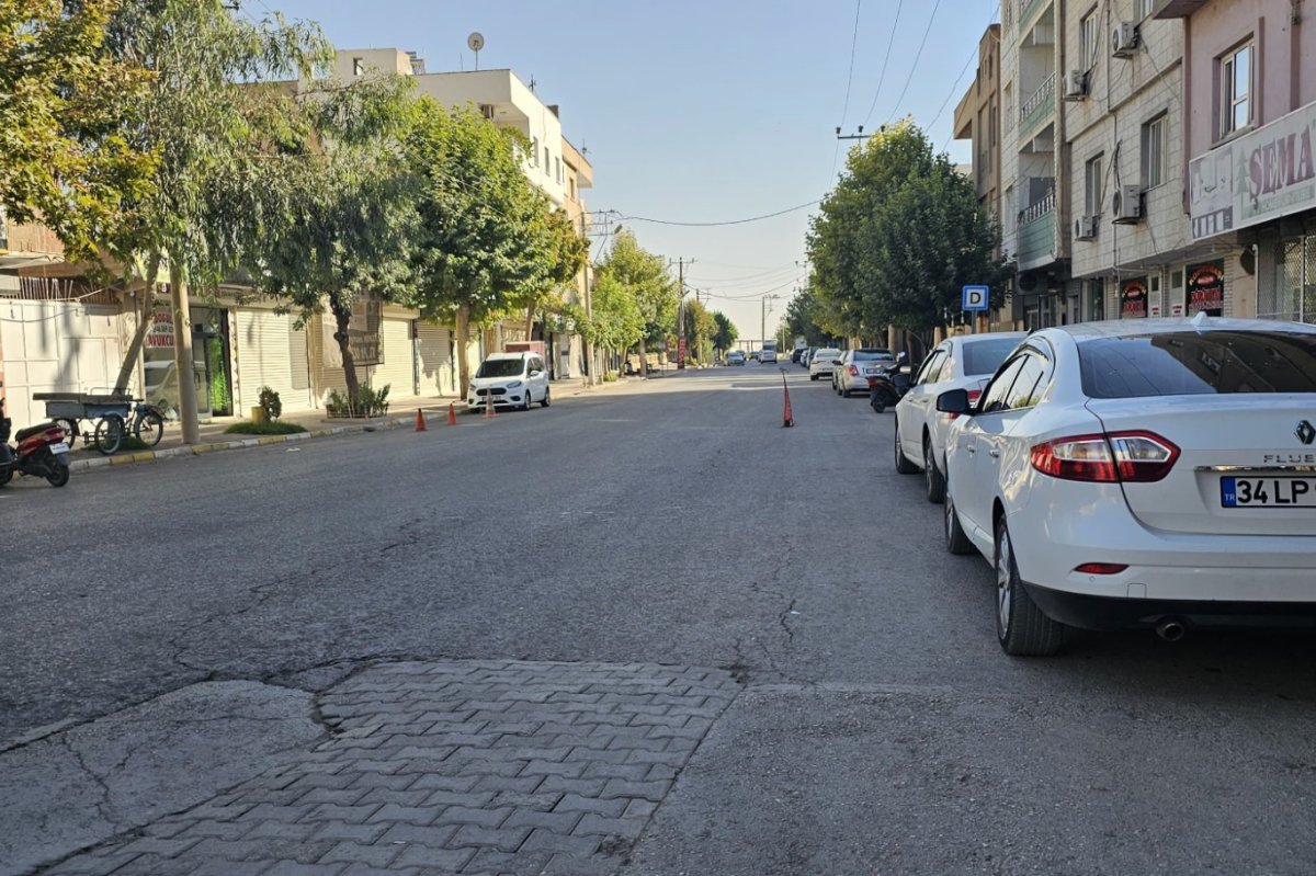 Mardin’de yolda oluşan göçüğe vatandaş fidan dikti