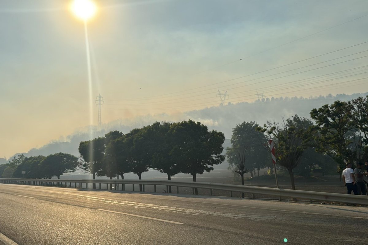 Bursa-Yenişehir kara yolu, orman yangını sebebiyle ulaşıma kapatıldı