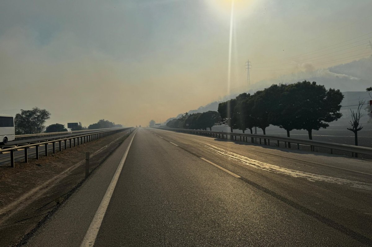 Bursa-Yenişehir kara yolu, orman yangını sebebiyle ulaşıma kapatıldı
