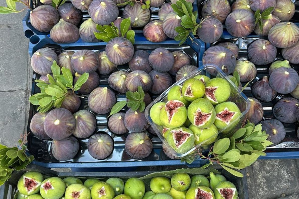 Bursa Siyah İnciri’nde ihracat krizi