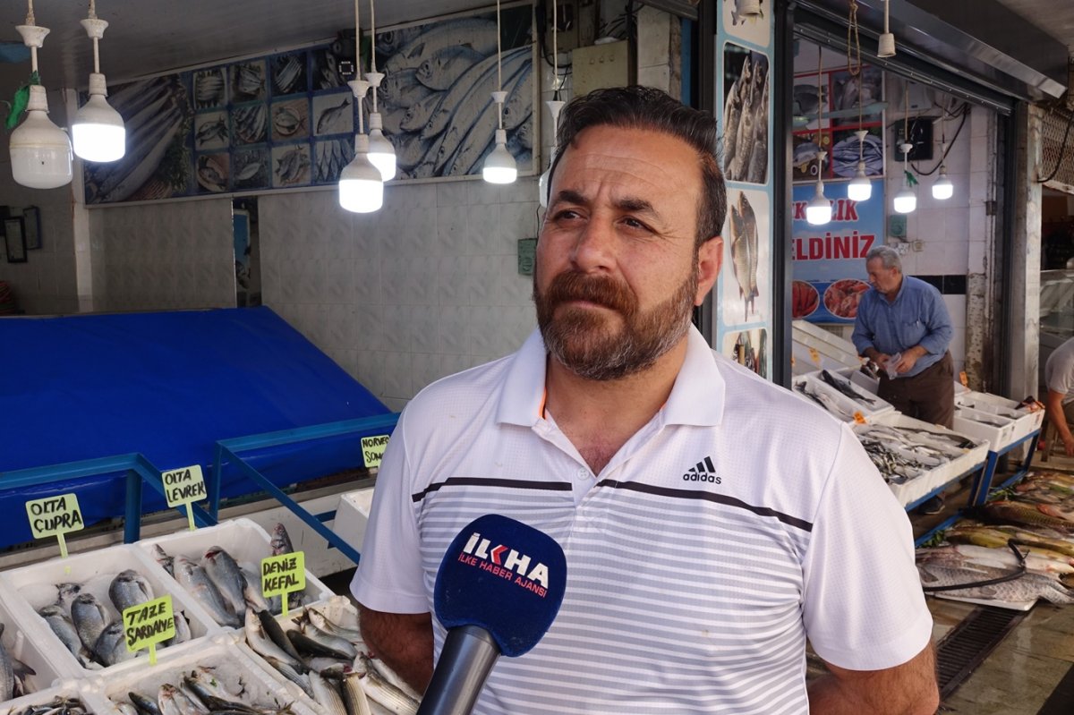 Av yasağı kalktı, balık piyasası hareketlendi