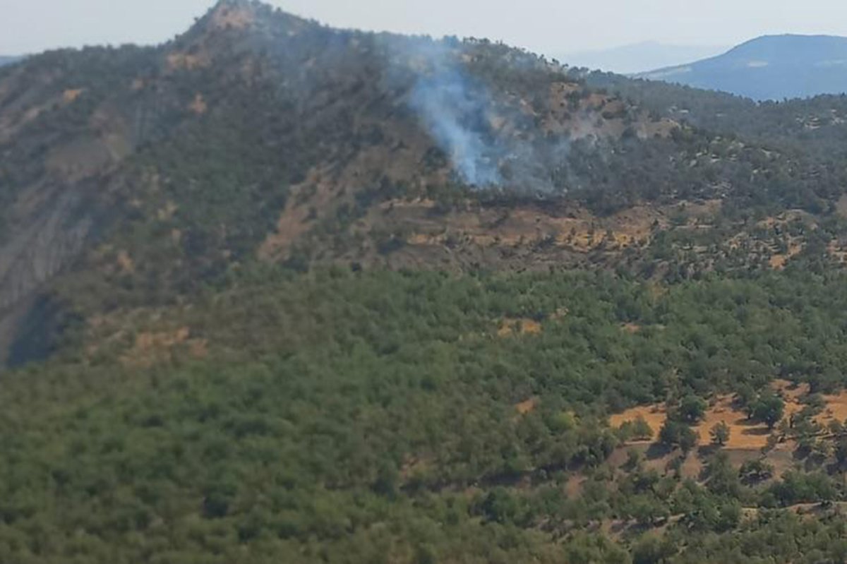 Şırnak’ta ormanlık alanda çıkan yangın kontrol altına alındı