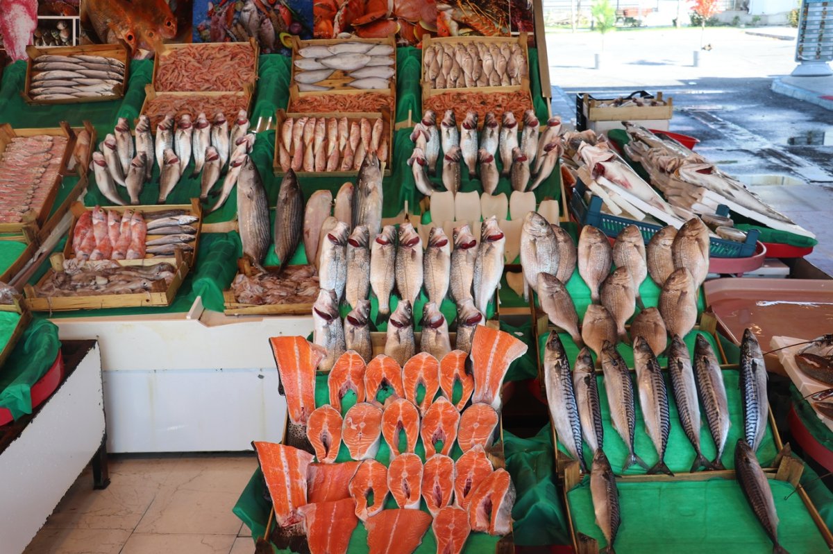 Balıkçılar henüz umduğunu bulamadı