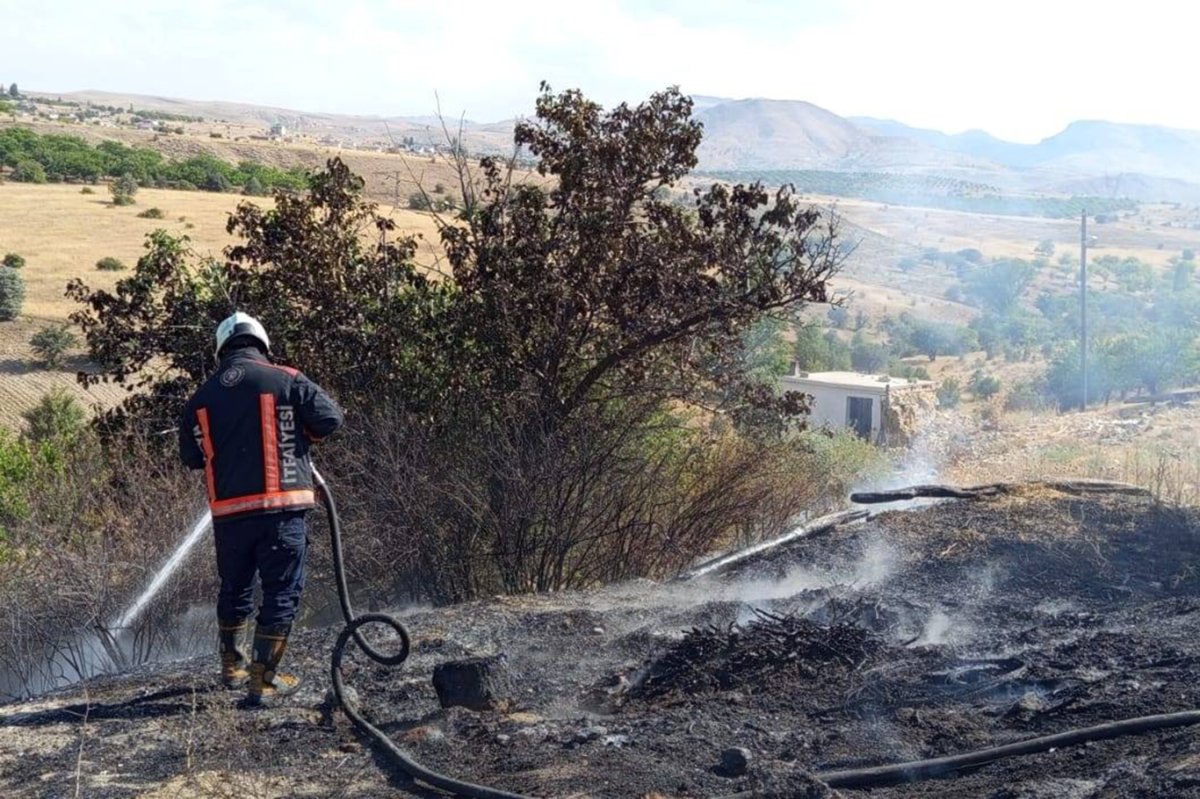 Malatya'da bahçe yangınlarında ağaçlar zarar gördü