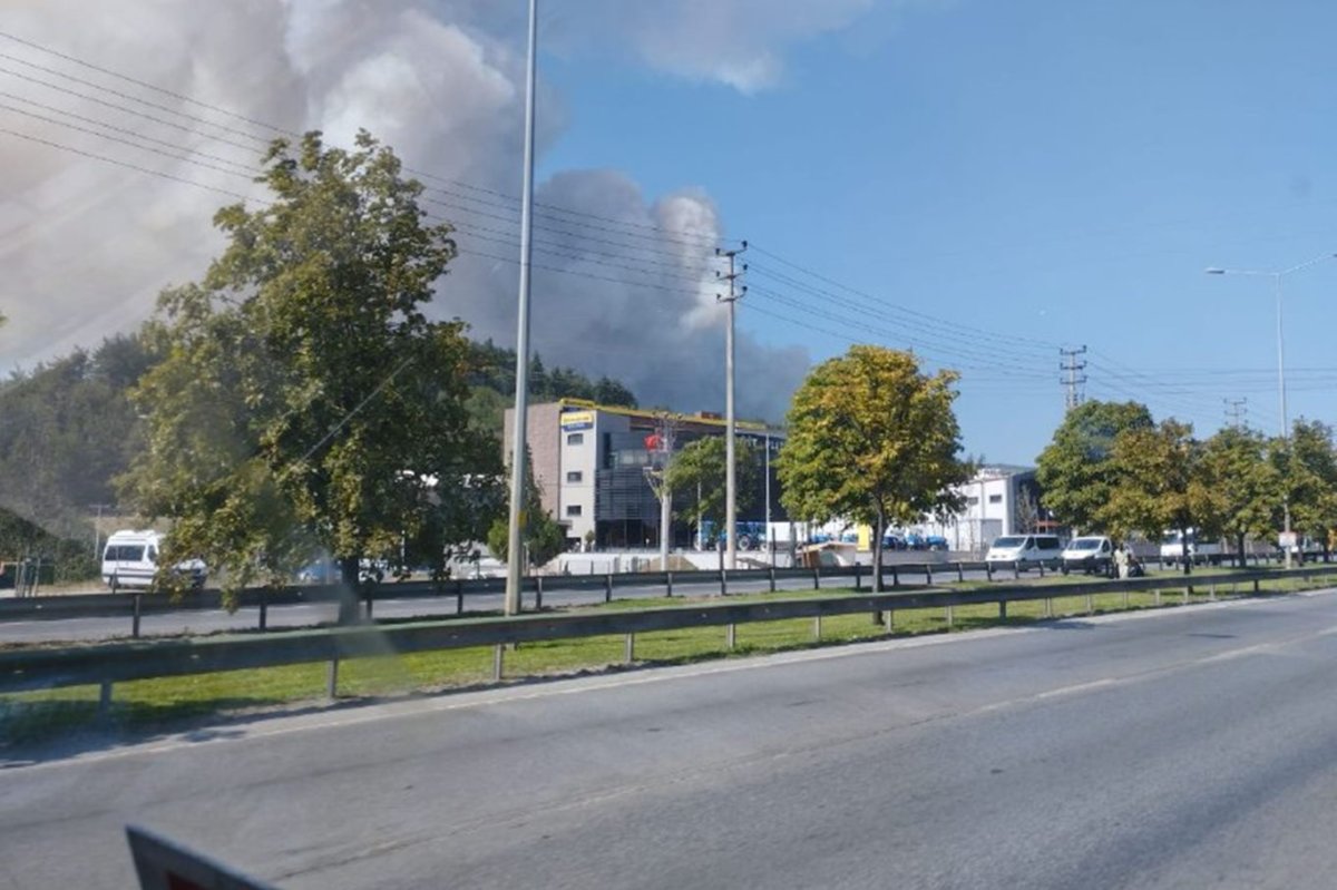 Bursa'da orman yangını: Havadan ve karadan müdahale sürüyor