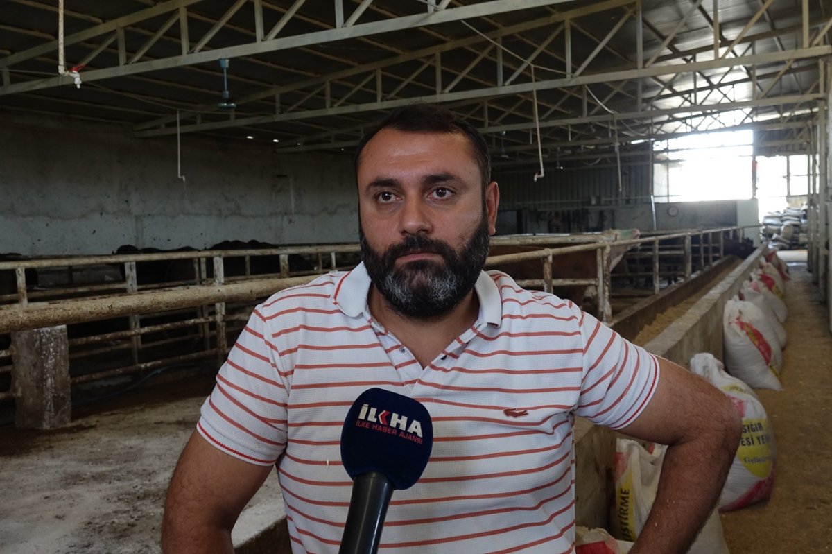 Besiciler şap hastalığından dertli: Üretici bitme noktasında