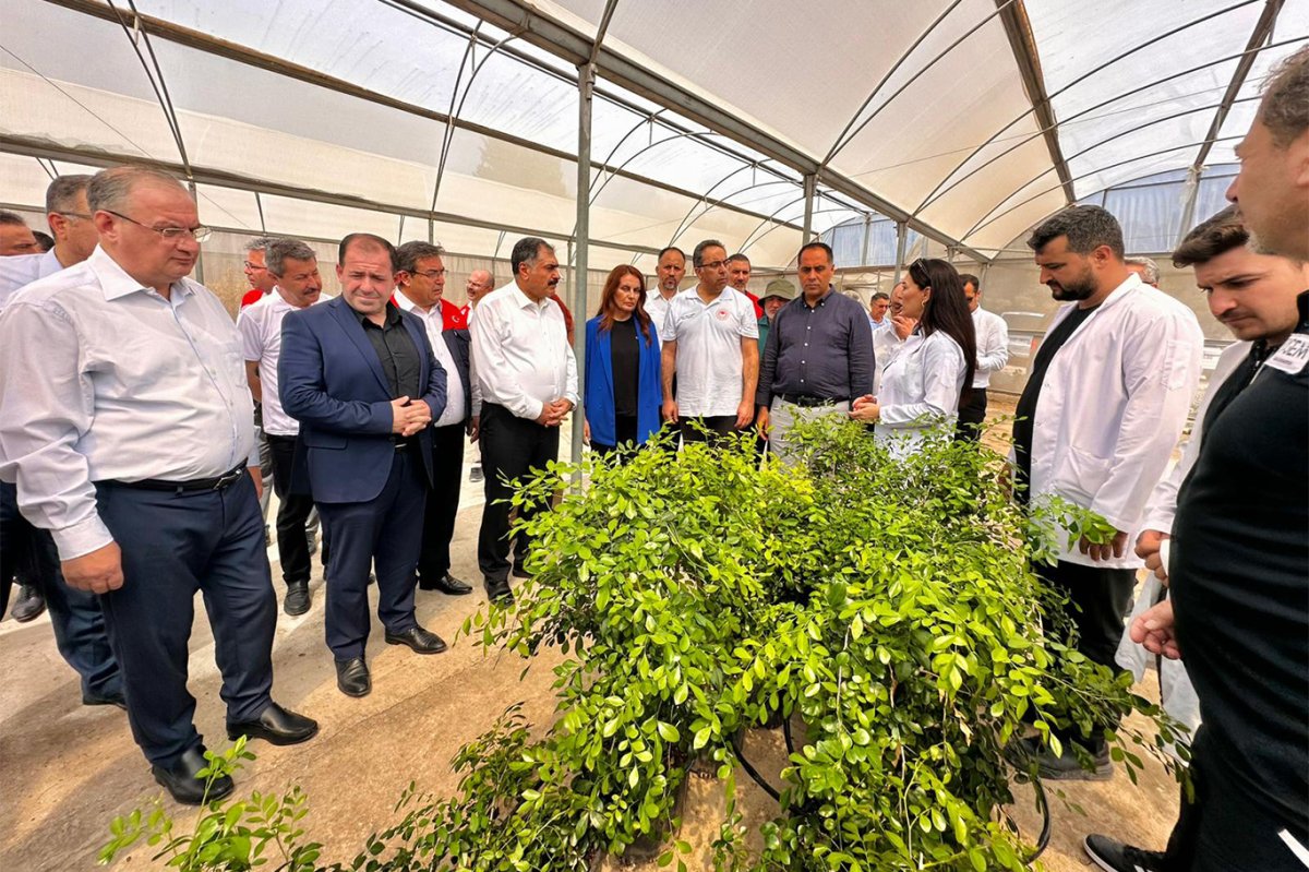 Mersin’de "Biyolojik Mücadele Değerlendirme Toplantısı" yapıldı