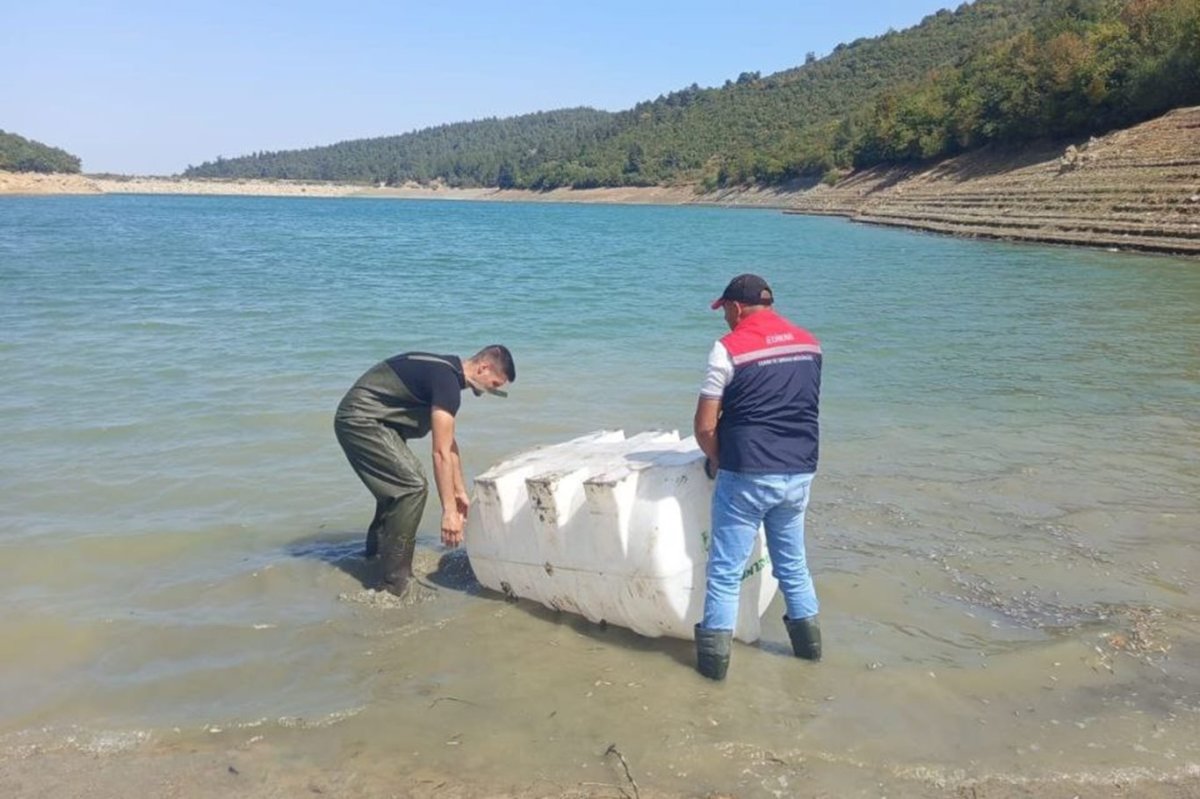 Bursa’da göl ve göletlere 2 milyon sazan balığı yavrusu bırakılacak
