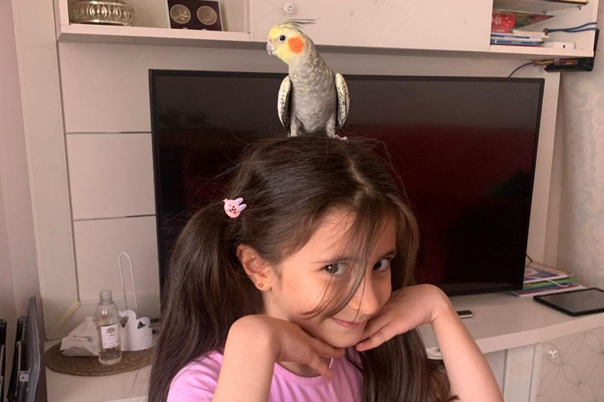 Küçük kardeşlerin yürek burkan çağrısı: Papağanımız Zeytin’i geri getirin