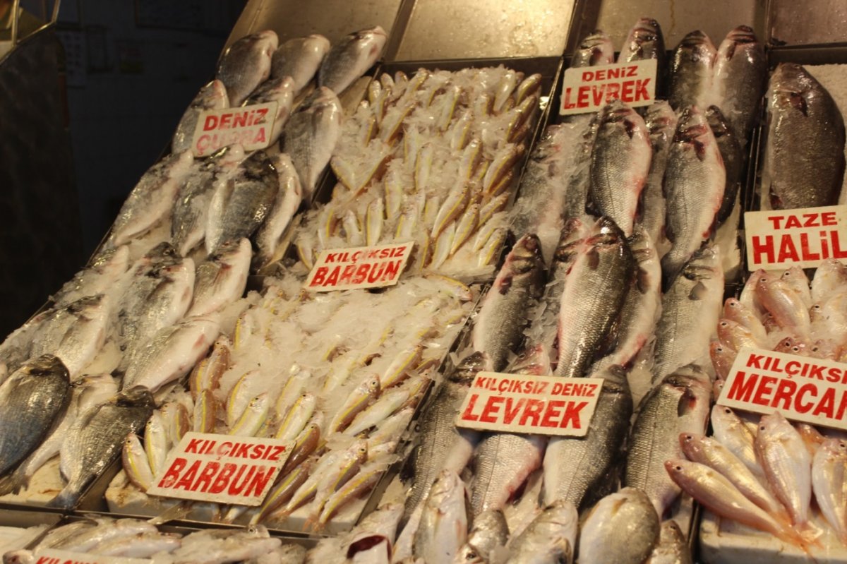 Akdeniz'de balık sezonu bereketiyle başladı