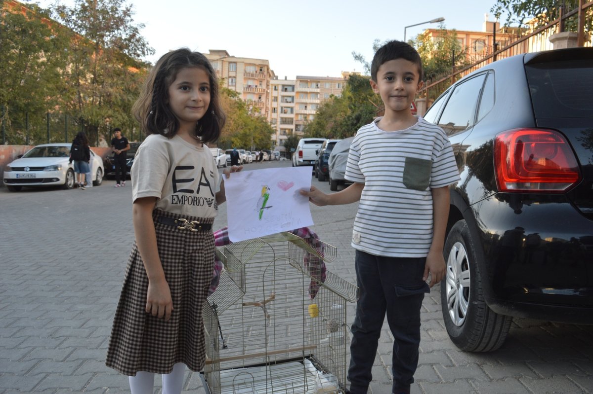 Minik kardeşlerin sevinci: Kaybolan kuşları Zeytin günler sonra evine döndü
