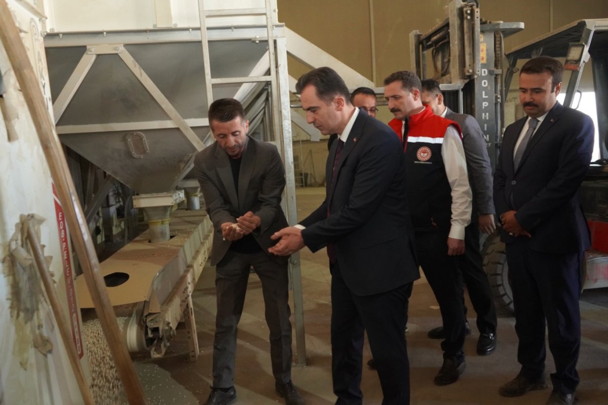 Bitlis'in söz sahibi olduğu kuru fasulyenin hasadı başladı