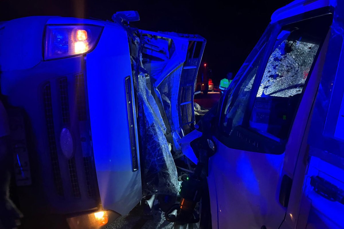 Diyarbakır'da kaza: 2 kişi öldü 14 hayvan telef oldu