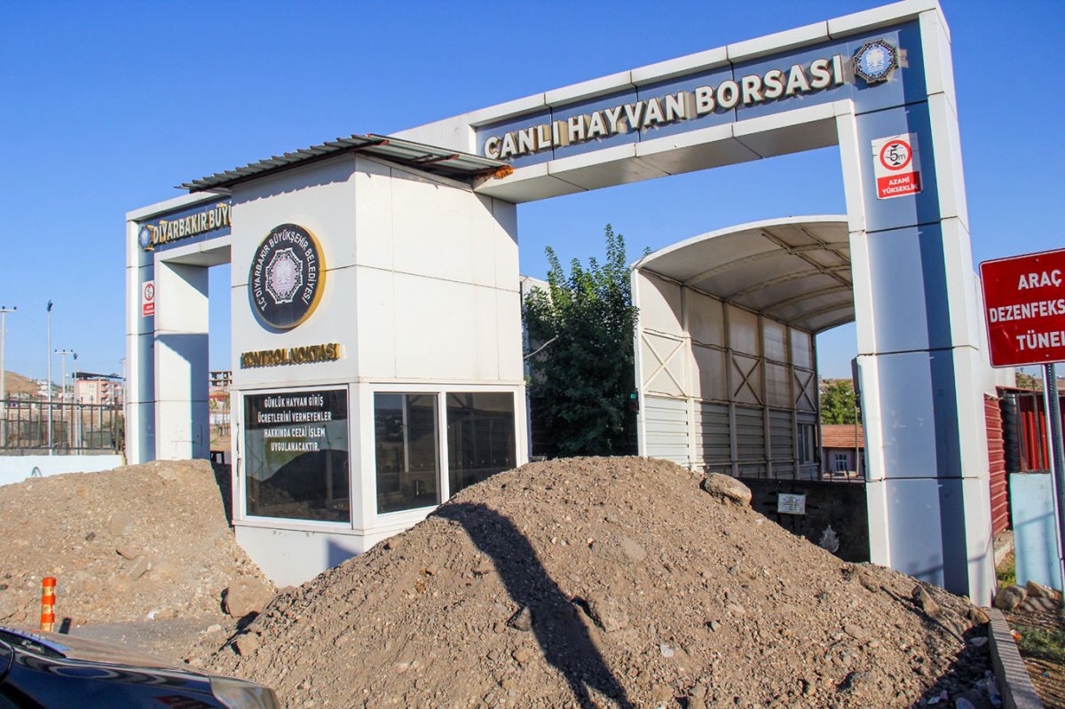 HÜDA PAR İl Başkanı Gülsever'den "Canlı Hayvan Borsası" çağrısı: Bu zulme son vererek pazarı açın!