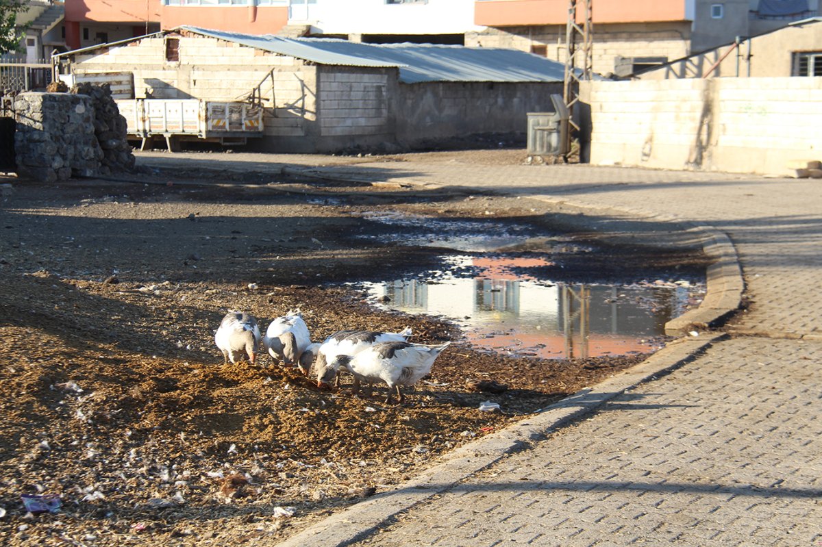 Bulutçeker Mahallesine belediyeden dezavantaj muamelesi