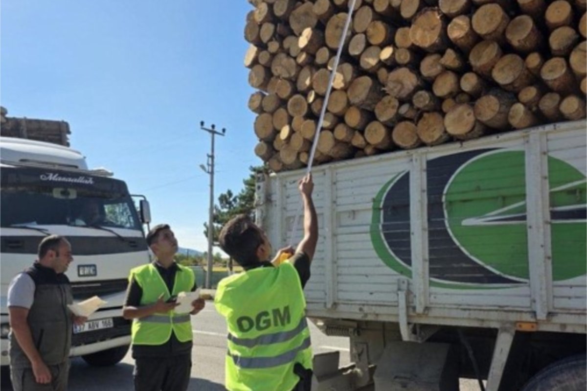 Orman emvali taşımacılığında yeni dönem: Takip sistemi zorunlu oluyor