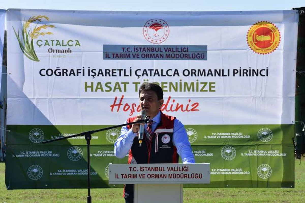 Coğrafi işaretli "Çatalca Ormanlı Pirinci" ile İstanbul tarımına değer katılıyor