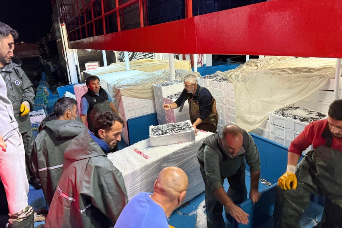 Hamsi avcılığında kota denetimleri devam ediyor