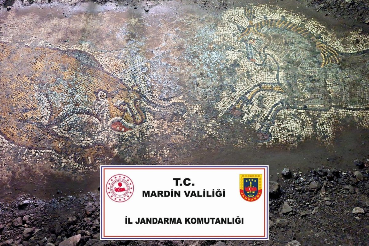 Mardin’de bin 500 yıllık mozaik ele geçirildi
