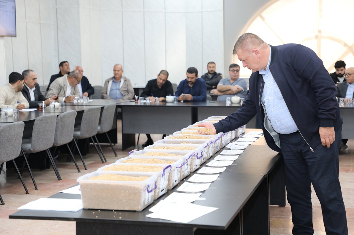 Gaziantep’te buğday ve mercimek, açık artırmayla satışa sunuldu