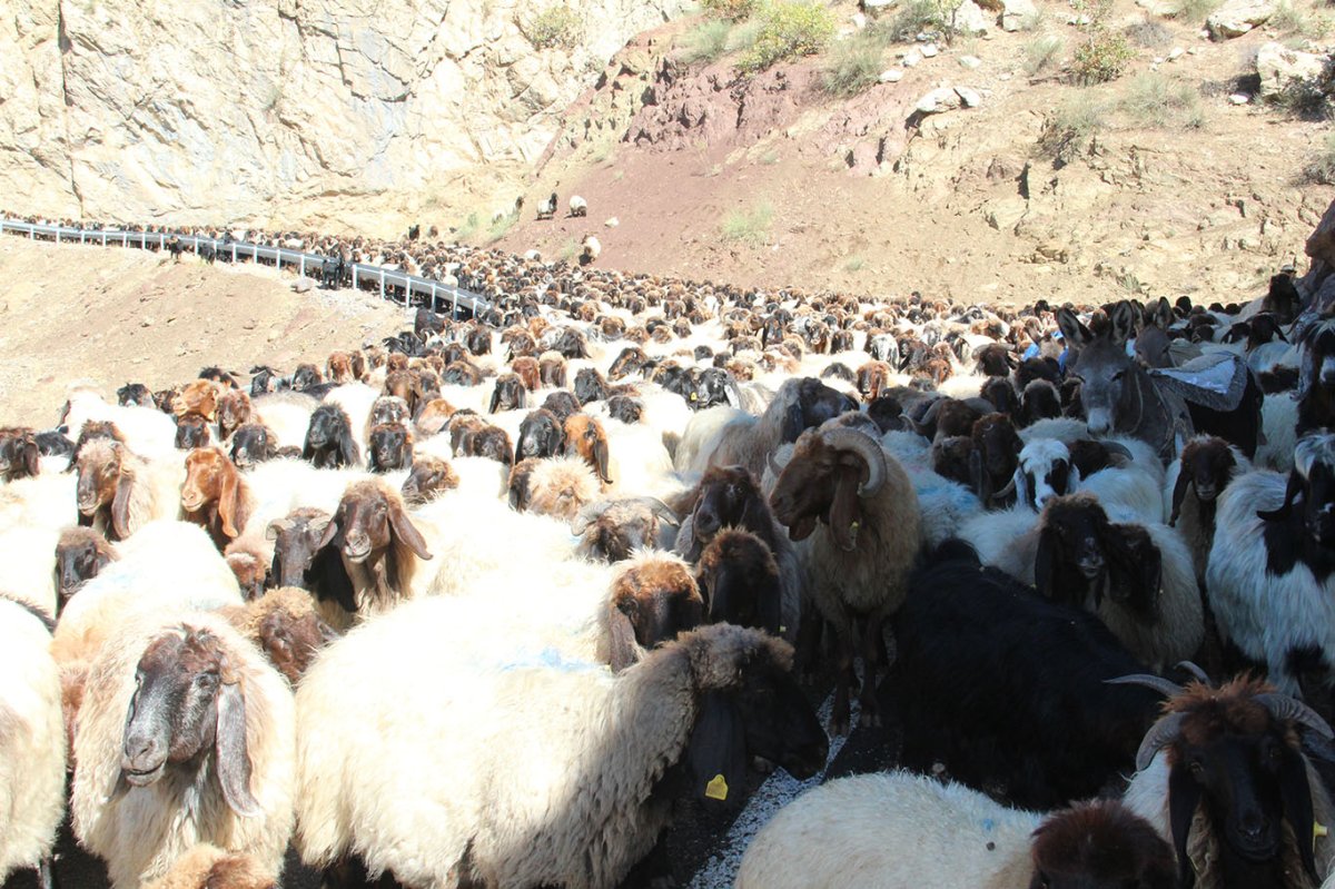 Göçerlerin aylarca süren zorlu göç yolculuğu başladı