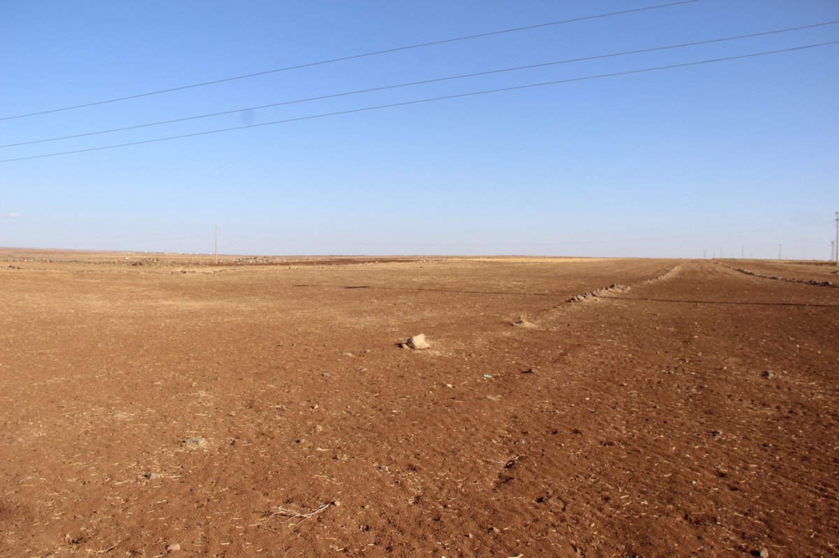 Kuraklığın vurduğu yerlerde çiftçiler devletten destek bekliyor